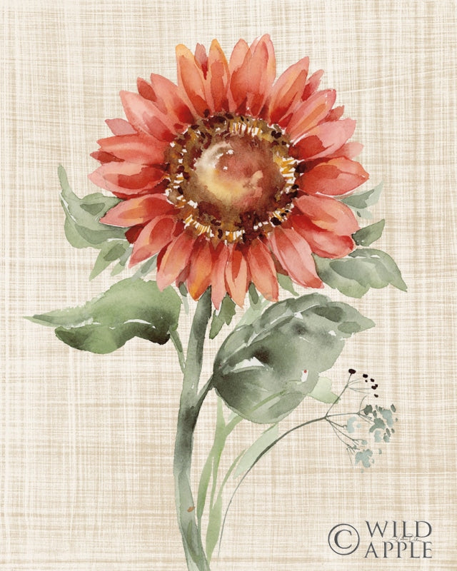 Reproduction of Autumn Ramble II Linen by Katrina Pete - Wall Decor Art