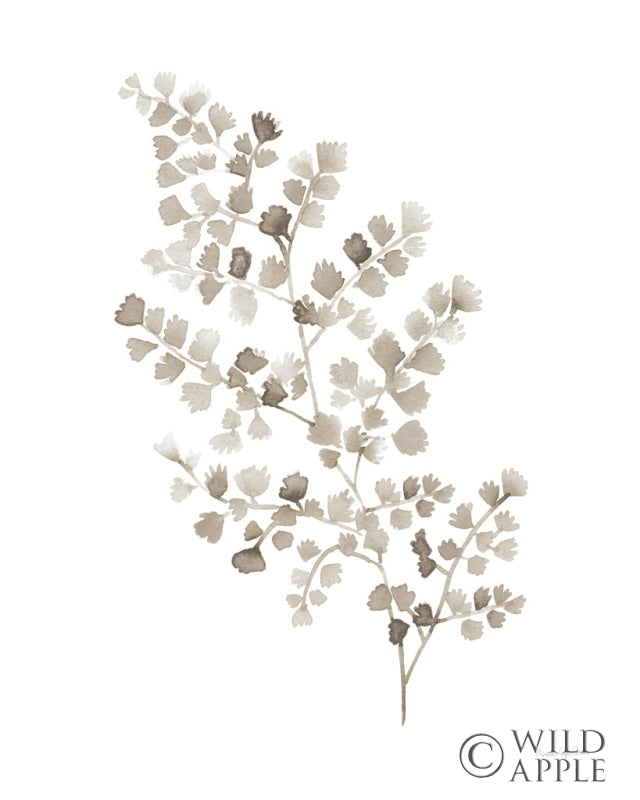 Reproduction of Maidenhair Fern Khaki by Mercedes Lopez Charro - Wall Decor Art