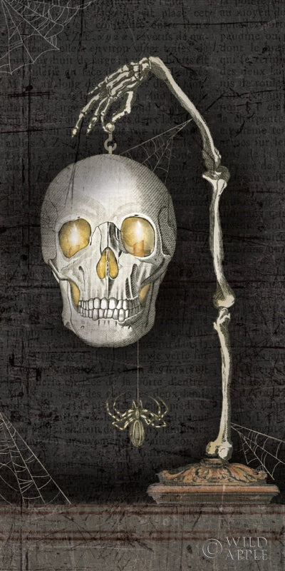 Reproduction of Apothecary Noir VII No Words by Sue Schlabach - Wall Decor Art