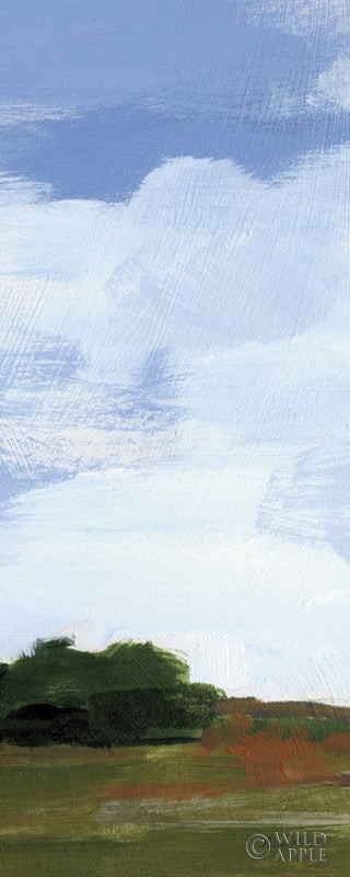 Reproduction of Catcalling Clouds Panel II by Pamela Munger - Wall Decor Art