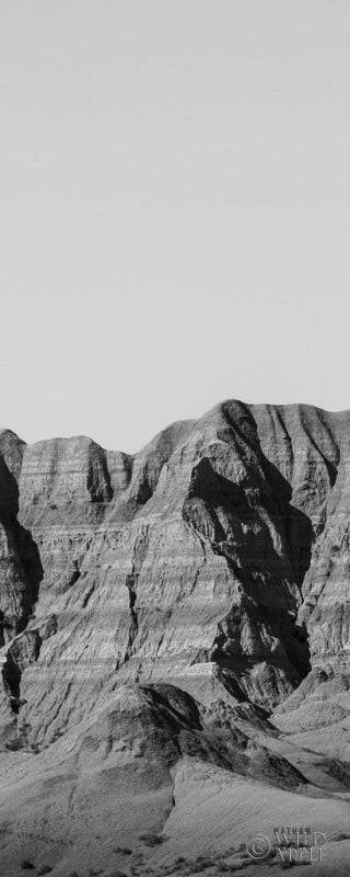 Reproduction of Badlands BW Panel I by Nathan Larson - Wall Decor Art