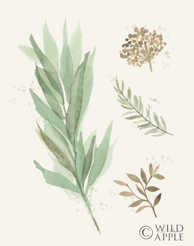 Reproduction of Leaf and Stem I by Laura Horn - Wall Decor Art