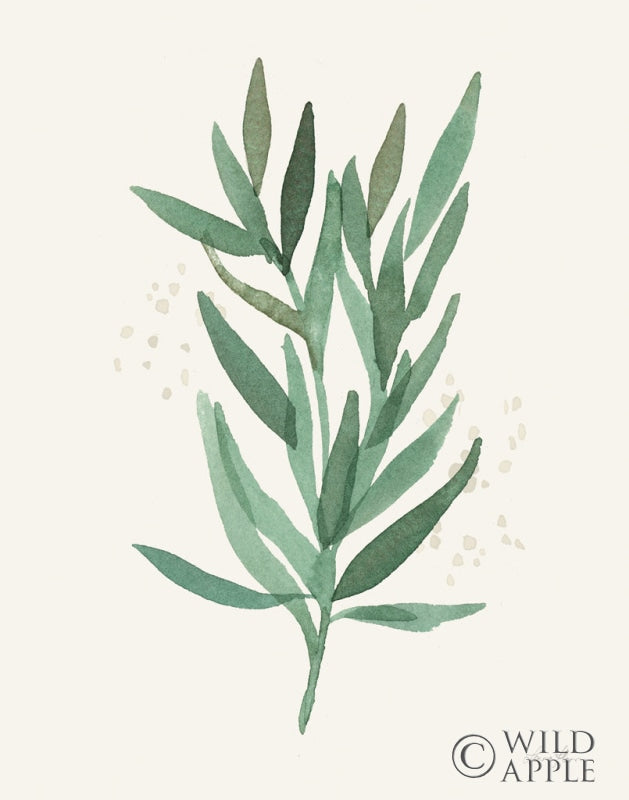 Reproduction of Leaf and Stem VI by Laura Horn - Wall Decor Art