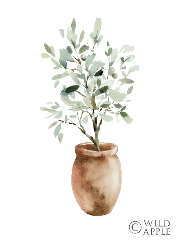 Reproduction of Potted Olive Tree by Katrina Pete - Wall Decor Art