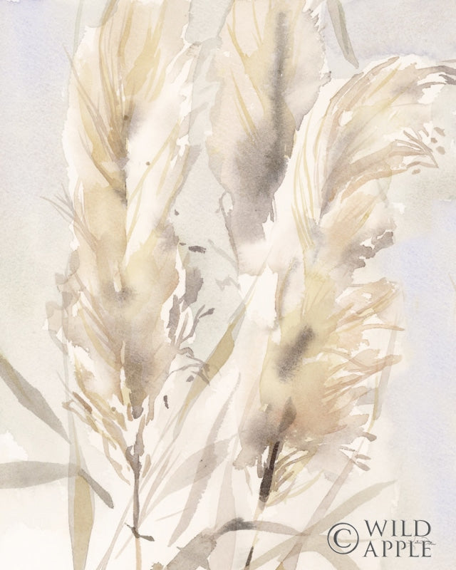 Reproduction of Light Pampas Grasses II by Katrina Pete - Wall Decor Art
