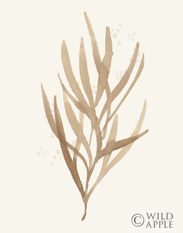 Reproduction of Leaf and Stem VII by Laura Horn - Wall Decor Art