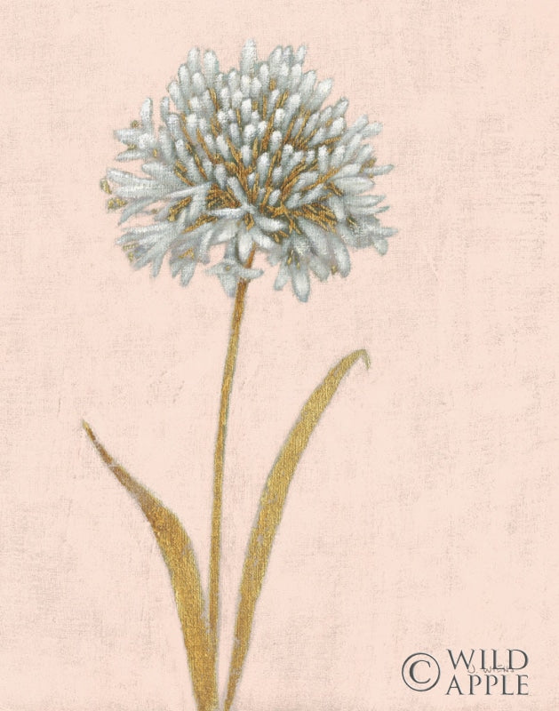 Reproduction of Shimmering Summer I Blush Crop by James Wiens - Wall Decor Art