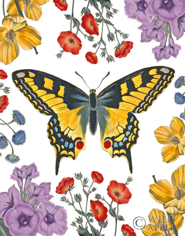 Reproduction of Butterfly Garden IV by Wild Apple Portfolio - Wall Decor Art