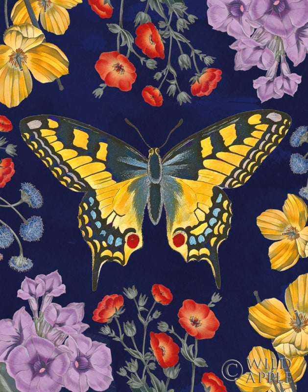Reproduction of Butterfly Garden IV Dark by Wild Apple Portfolio - Wall Decor Art