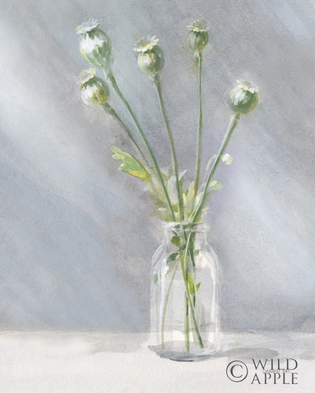 Reproduction of Country Fresh III by Danhui Nai - Wall Decor Art