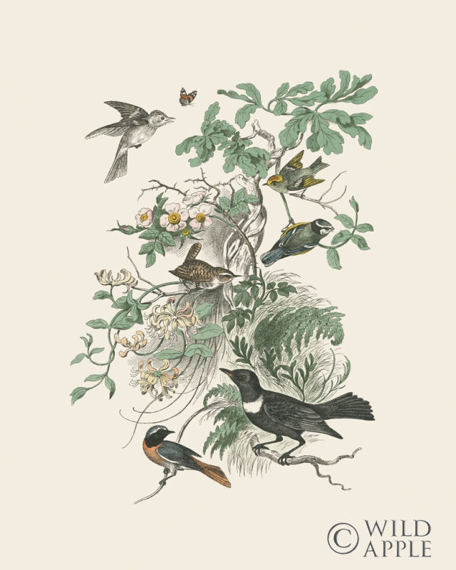 Reproduction of Honeybloom Bird II by Wild Apple Portfolio - Wall Decor Art