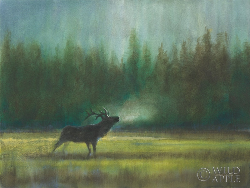 Reproduction of Voice of the Wild by Danhui Nai - Wall Decor Art