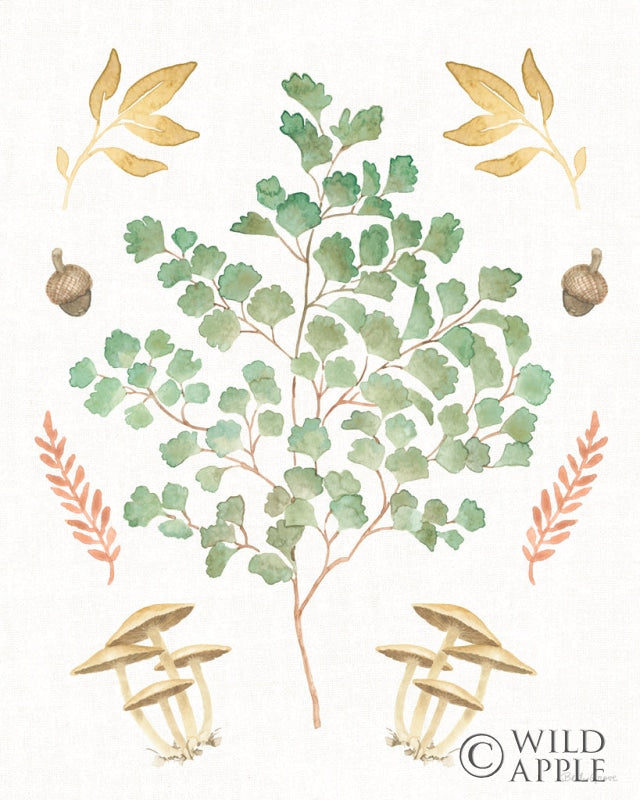 Reproduction of Forest Finds VIII by Beth Grove - Wall Decor Art