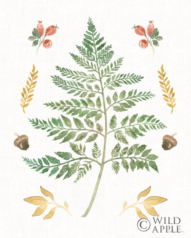 Reproduction of Forest Finds IX by Beth Grove - Wall Decor Art