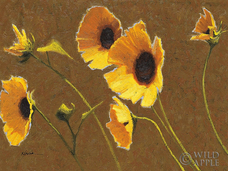 Reproduction of Sunny Flowers I by Shirley Novak - Wall Decor Art