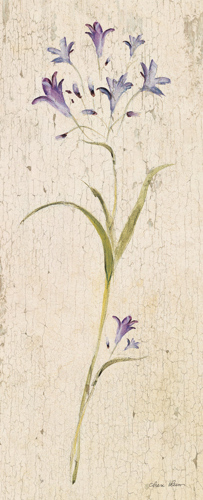 Reproduction of Vintage Campanula by Cheri Blum - Wall Decor Art