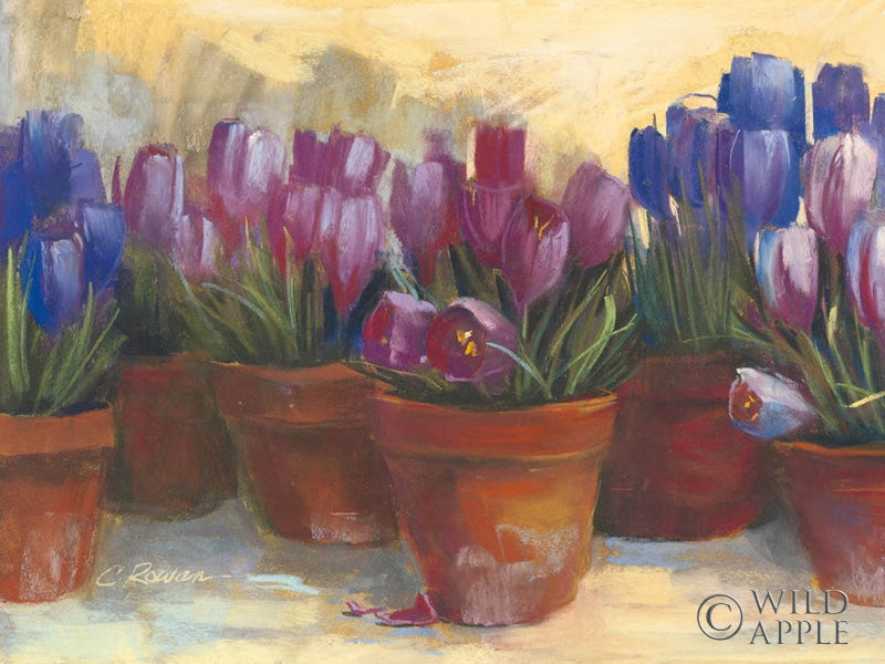 Reproduction of Spring Crocus by Carol Rowan - Wall Decor Art