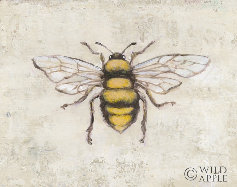 Reproduction of Garden Beauties V by Julia Purinton - Wall Decor Art