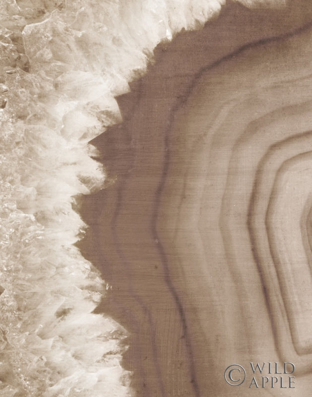 Reproduction of Warm Agate Geode I by Wild Apple Portfolio - Wall Decor Art