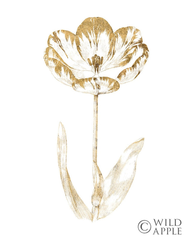 Reproduction of Gilded Botanical VI by Wild Apple Portfolio - Wall Decor Art