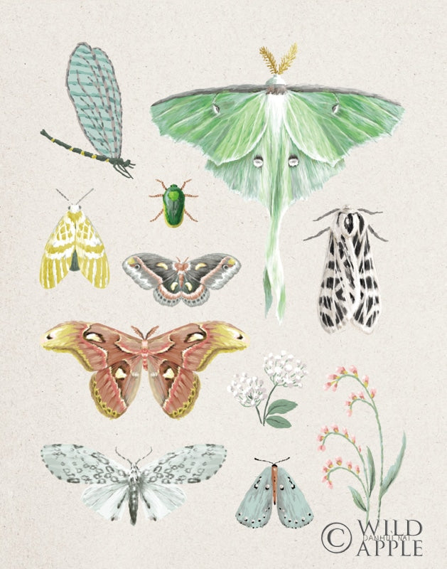 Reproduction of Beauty of the Forest IV by Danhui Nai - Wall Decor Art