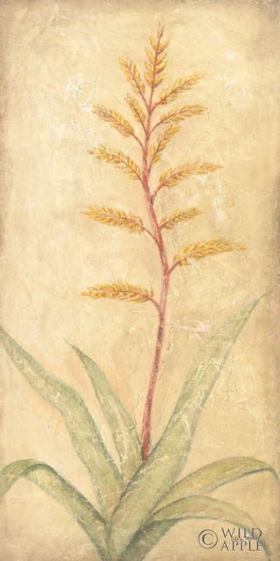 Reproduction of Tropical Flowers II by Cheri Blum - Wall Decor Art