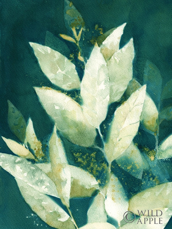 Reproduction of Shower of Gold II Light by Kathy Ferguson - Wall Decor Art