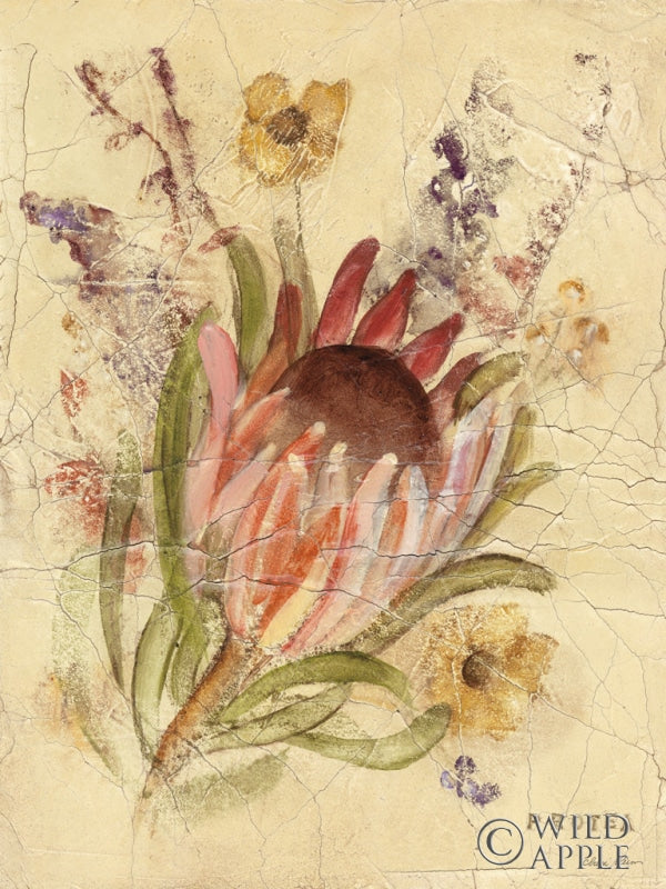 Reproduction of Protea by Cheri Blum - Wall Decor Art