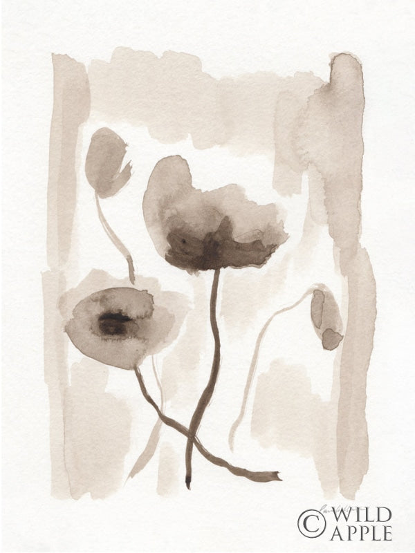 Reproduction of Sepia Florals II v2 by Pamela Munger - Wall Decor Art