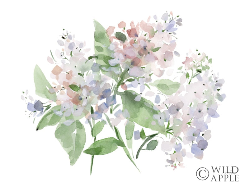 Reproduction of Pastel Petals by Katrina Pete - Wall Decor Art