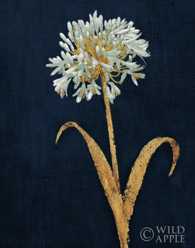 Reproduction of Shimmering Summer III Indigo Crop by James Wiens - Wall Decor Art