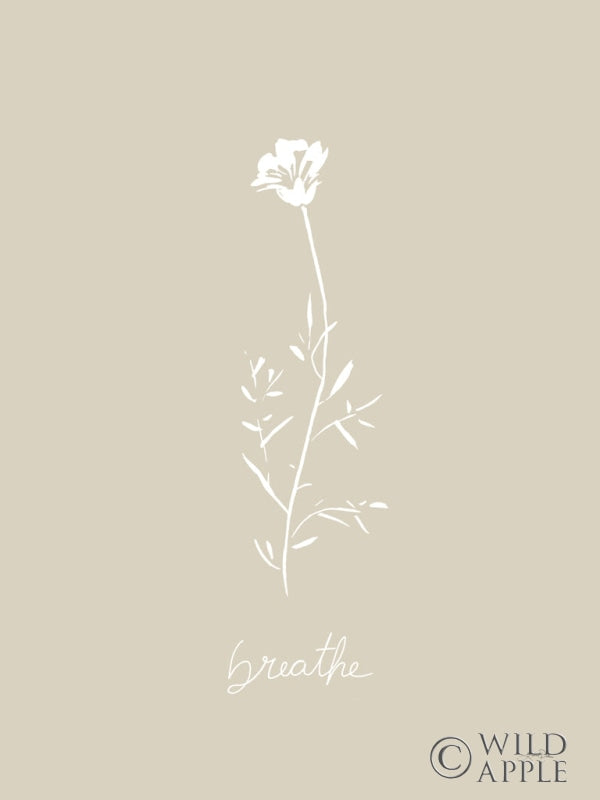 Reproduction of Delicate Wildflowers IV by Katrina Pete - Wall Decor Art