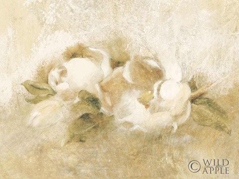 Reproduction of Magnolia II by Cheri Blum - Wall Decor Art