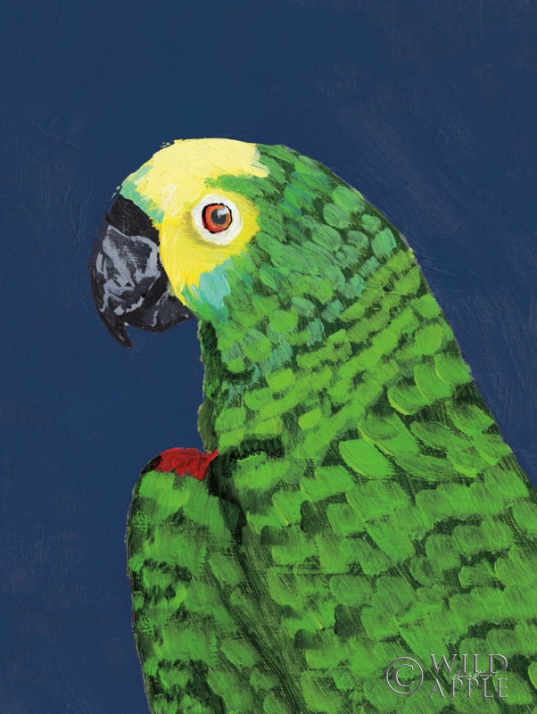 Reproduction of Parrot Head Navy by Pamela Munger - Wall Decor Art