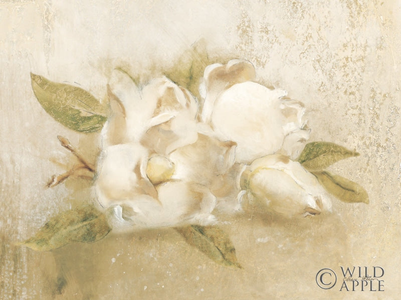 Reproduction of Magnolia IV by Cheri Blum - Wall Decor Art