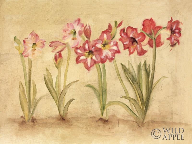 Reproduction of Springtime by Cheri Blum - Wall Decor Art