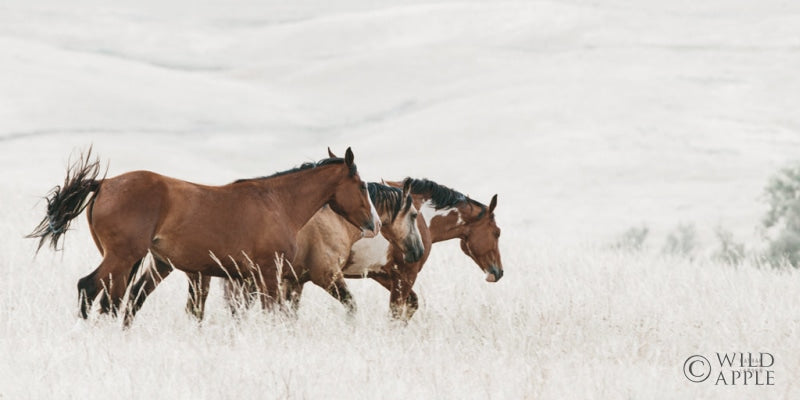 Reproduction of Horse Moves by Nathan Larson - Wall Decor Art