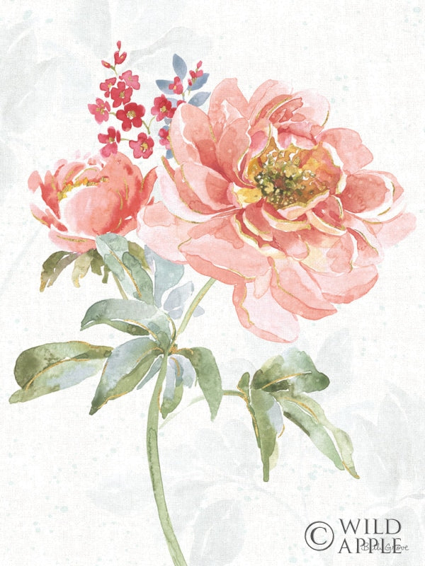 Reproduction of Floral Focus VI Crop by Beth Grove - Wall Decor Art