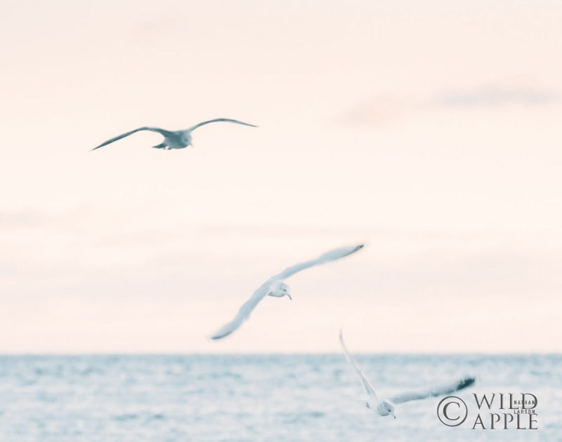 Reproduction of Sunset Flocks Blue Crop by Nathan Larson - Wall Decor Art