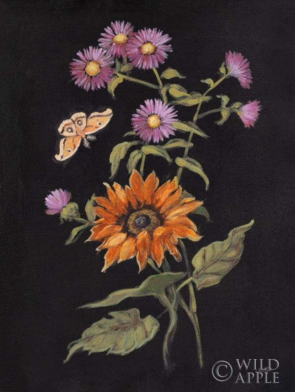 Reproduction of Botanical Beauty II by Julia Purinton - Wall Decor Art