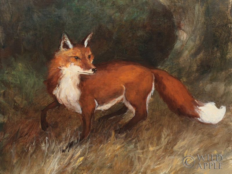Reproduction of Forest Fox by Julia Purinton - Wall Decor Art