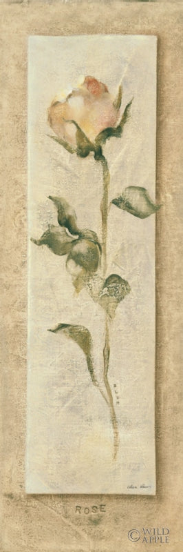 Reproduction of Rose Panel by Cheri Blum - Wall Decor Art