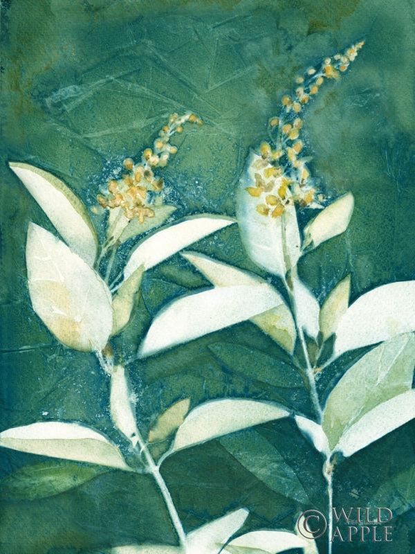 Reproduction of Shower of Gold IV Light by Kathy Ferguson - Wall Decor Art