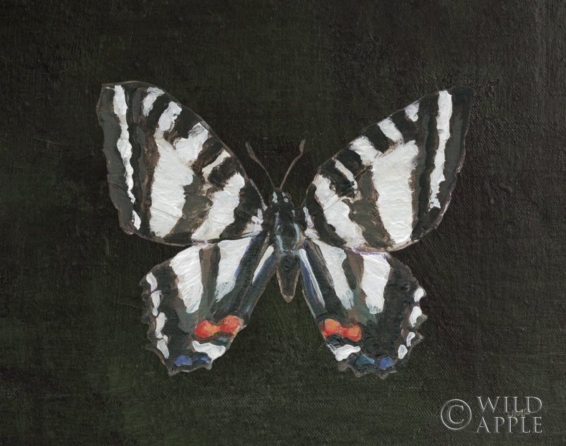 Reproduction of Garden Beauties II Black by Julia Purinton - Wall Decor Art