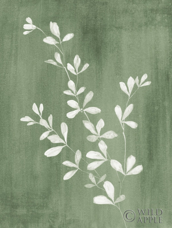 Reproduction of Simple Nature II Sage by Danhui Nai - Wall Decor Art