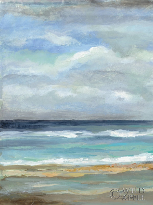 Reproduction of Seashore VII Crop by Silvia Vassileva - Wall Decor Art