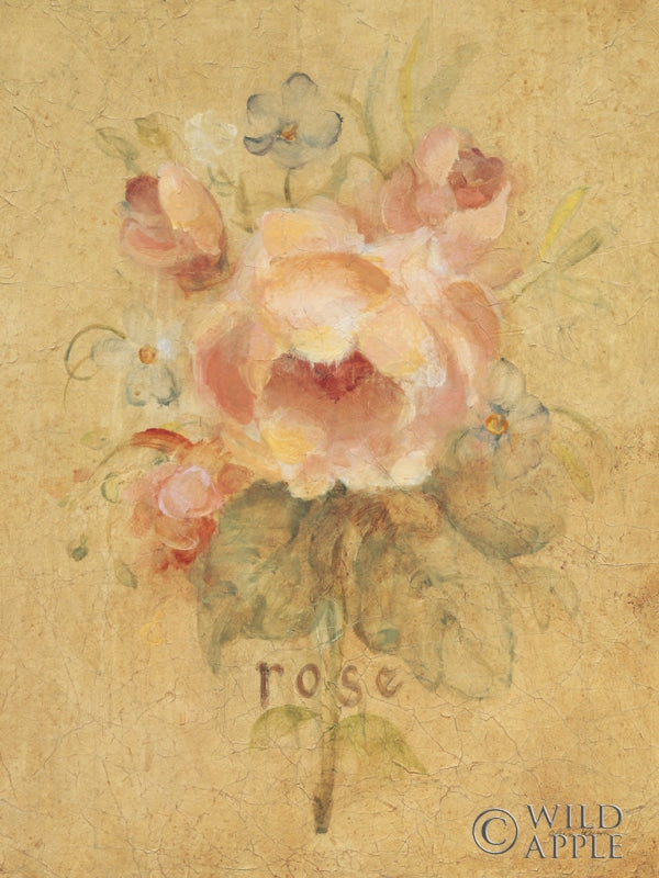 Reproduction of Rose by Cheri Blum - Wall Decor Art