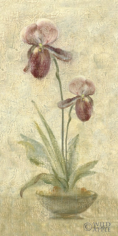 Reproduction of Purple Orchids by Cheri Blum - Wall Decor Art