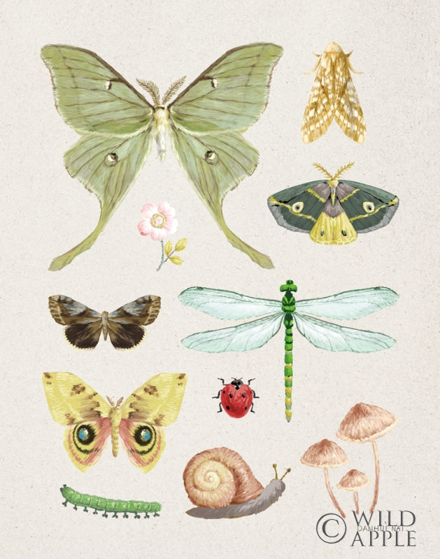 Reproduction of Beauty of the Forest III by Danhui Nai - Wall Decor Art