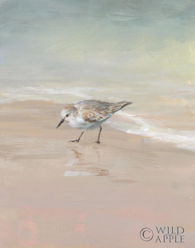 Reproduction of Shorebirds on the Sand III by Danhui Nai - Wall Decor Art